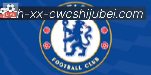 世界杯买球合作伙伴